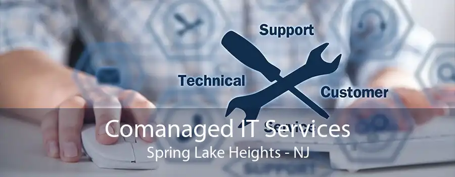 Comanaged IT Services Spring Lake Heights - NJ