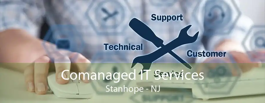 Comanaged IT Services Stanhope - NJ