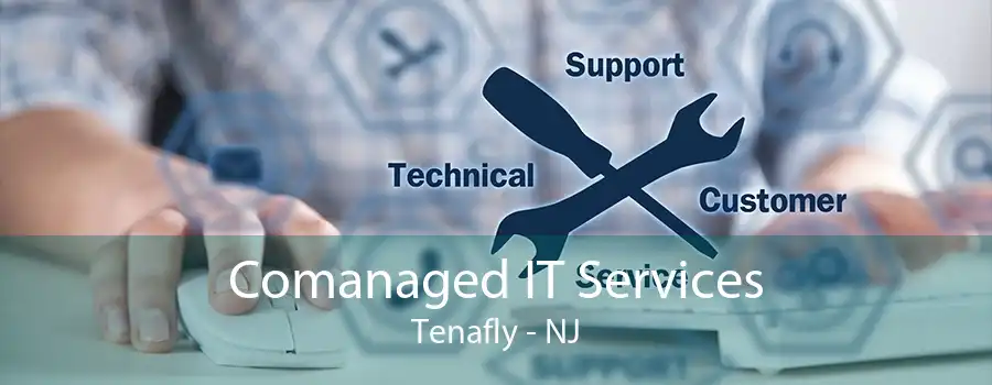 Comanaged IT Services Tenafly - NJ