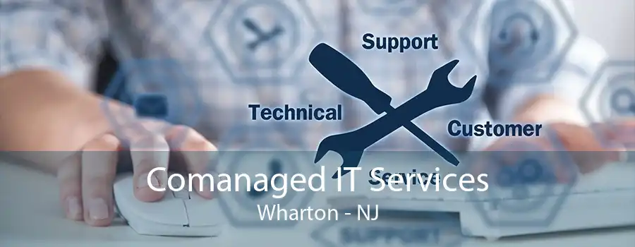 Comanaged IT Services Wharton - NJ