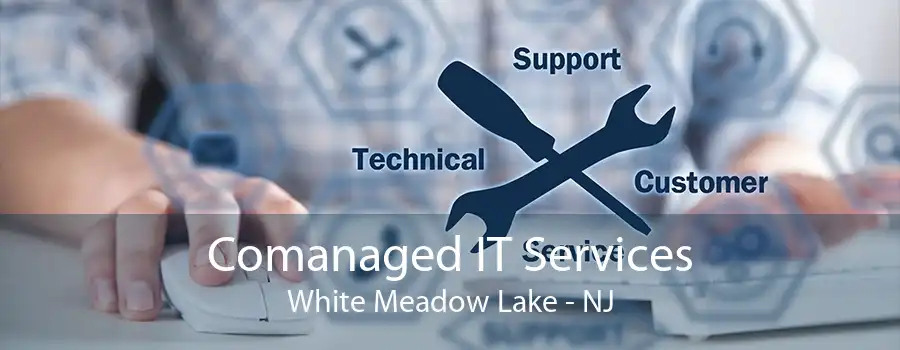 Comanaged IT Services White Meadow Lake - NJ