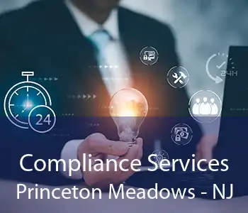 Compliance Services Princeton Meadows - NJ