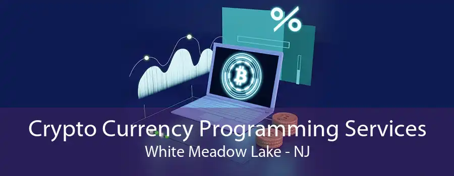 Crypto Currency Programming Services White Meadow Lake - NJ