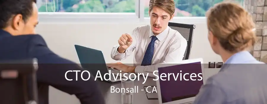 CTO Advisory Services Bonsall - CA