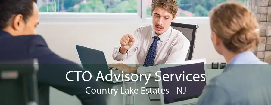 CTO Advisory Services Country Lake Estates - NJ