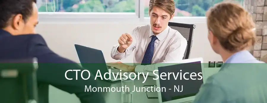 CTO Advisory Services Monmouth Junction - NJ