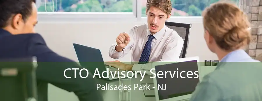 CTO Advisory Services Palisades Park - NJ