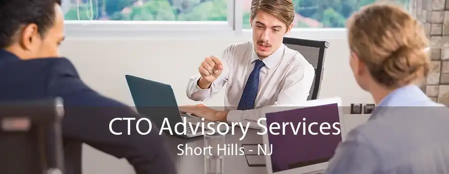 CTO Advisory Services Short Hills - NJ