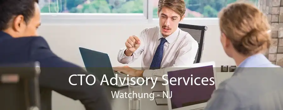 CTO Advisory Services Watchung - NJ