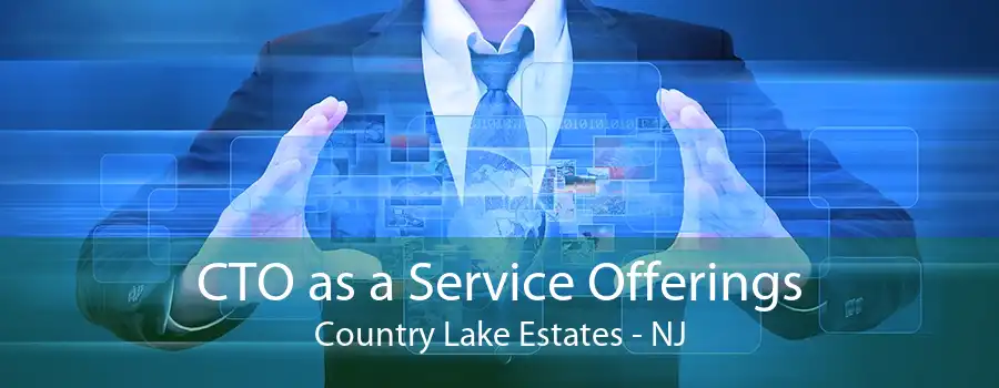 CTO as a Service Offerings Country Lake Estates - NJ