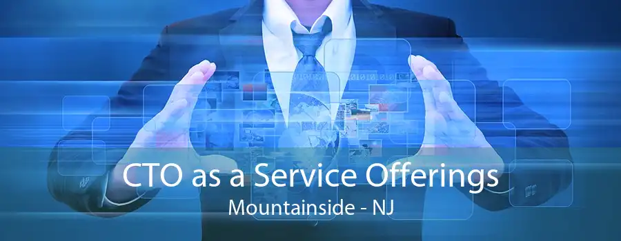CTO as a Service Offerings Mountainside - NJ
