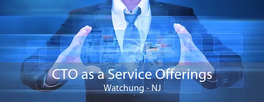 CTO as a Service Offerings Watchung - NJ