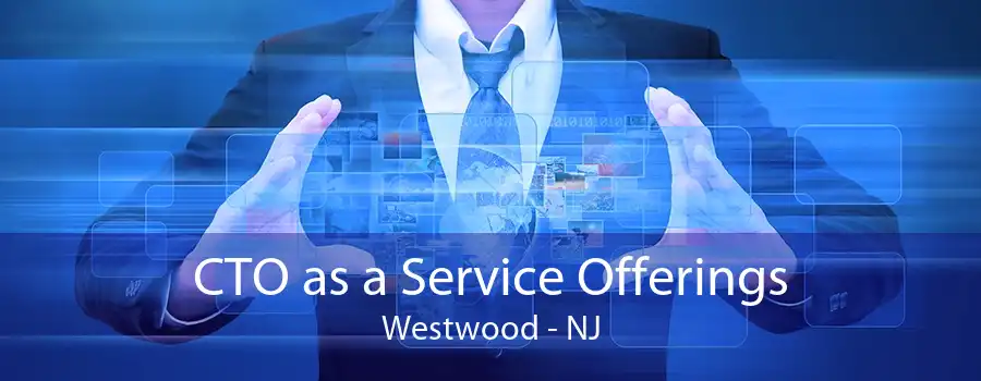 CTO as a Service Offerings Westwood - NJ