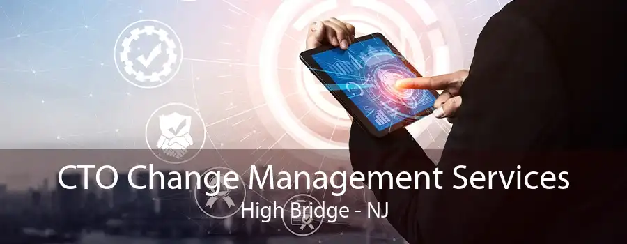 CTO Change Management Services High Bridge - NJ