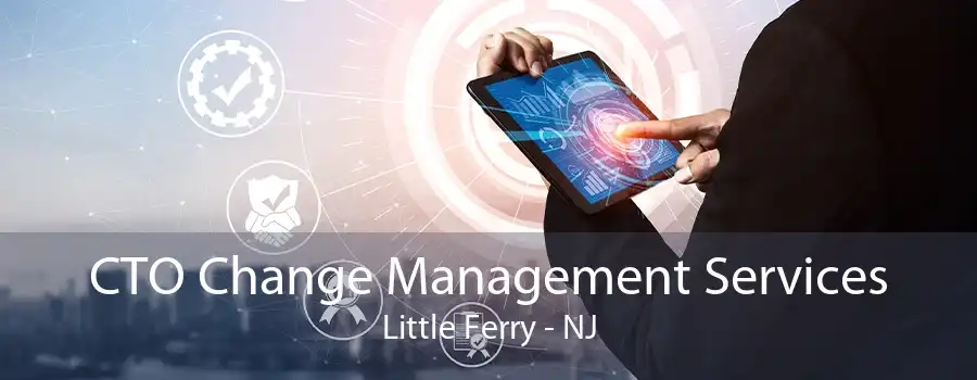 CTO Change Management Services Little Ferry - NJ