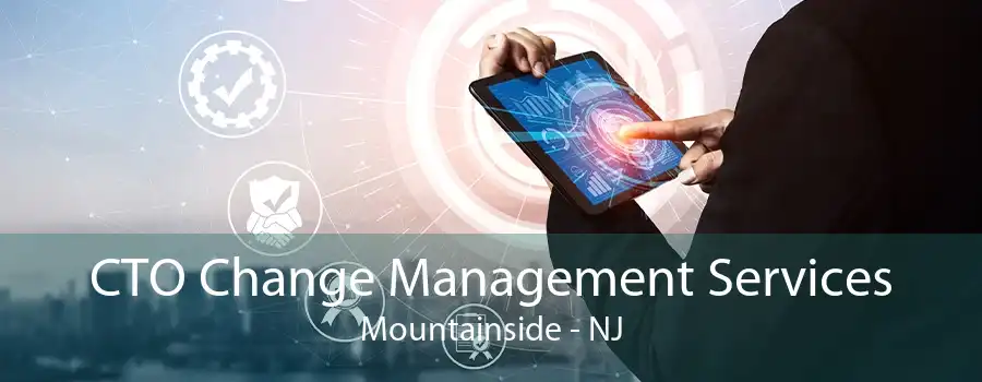 CTO Change Management Services Mountainside - NJ