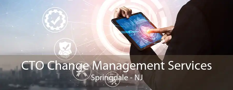 CTO Change Management Services Springdale - NJ