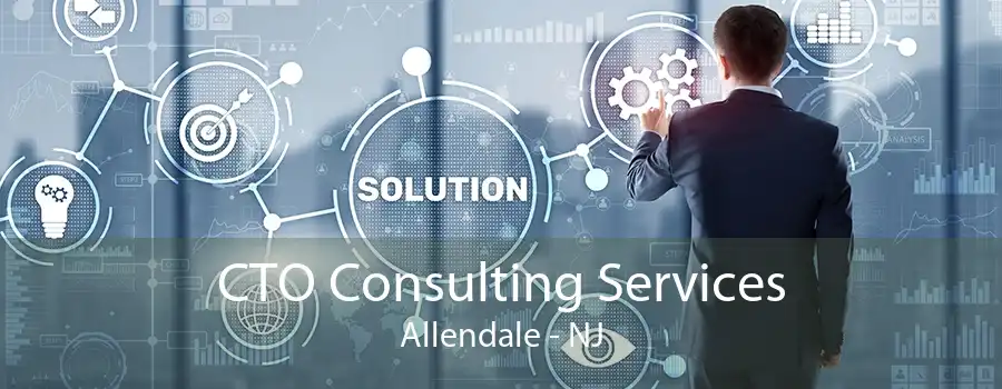 CTO Consulting Services Allendale - NJ