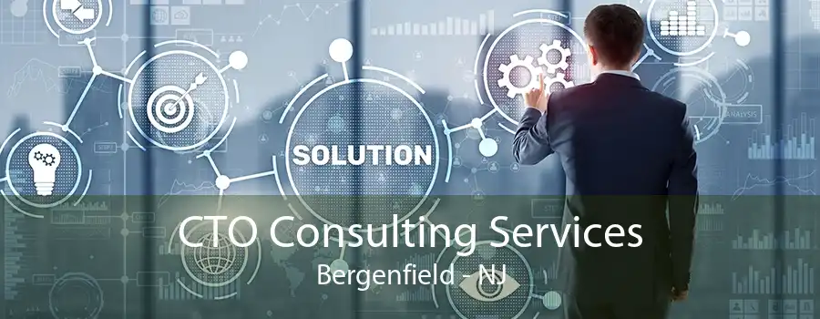 CTO Consulting Services Bergenfield - NJ