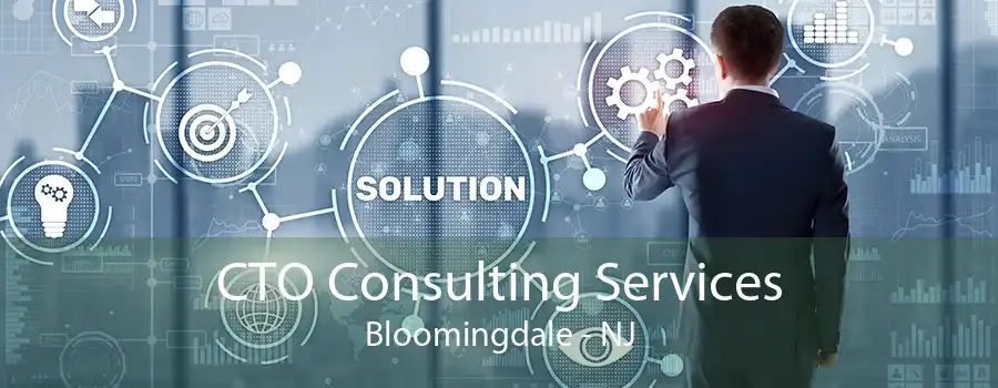 CTO Consulting Services Bloomingdale - NJ