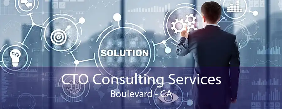 CTO Consulting Services Boulevard - CA