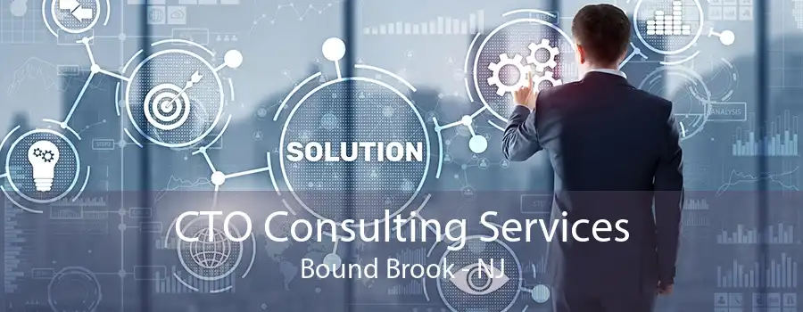 CTO Consulting Services Bound Brook - NJ