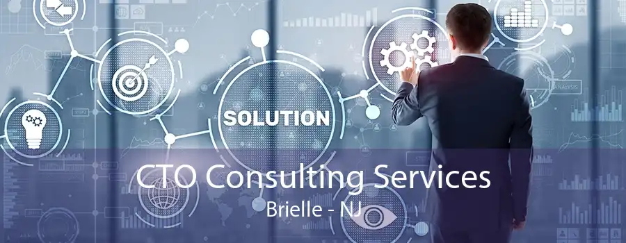 CTO Consulting Services Brielle - NJ