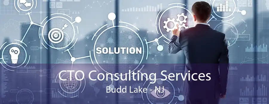 CTO Consulting Services Budd Lake - NJ