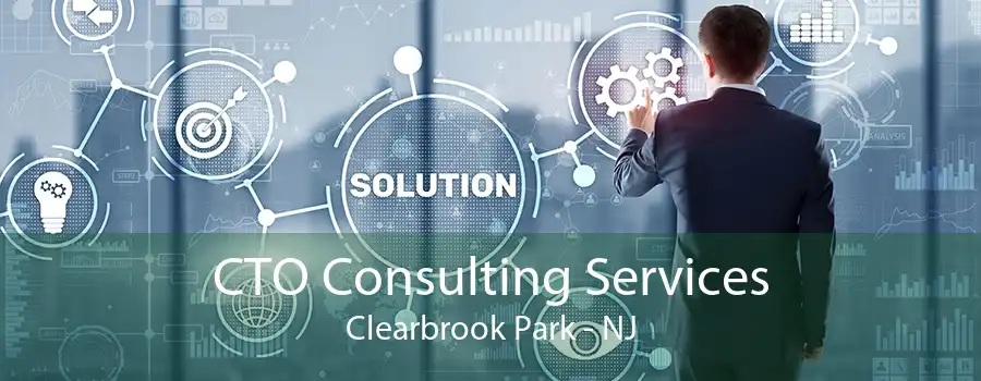 CTO Consulting Services Clearbrook Park - NJ