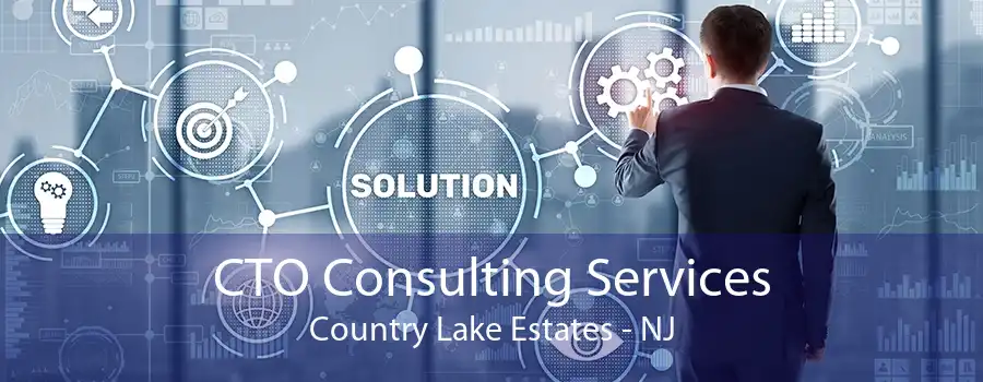 CTO Consulting Services Country Lake Estates - NJ