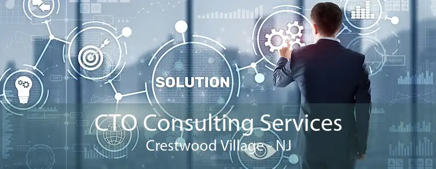 CTO Consulting Services Crestwood Village - NJ