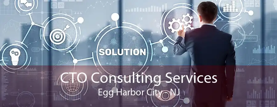 CTO Consulting Services Egg Harbor City - NJ