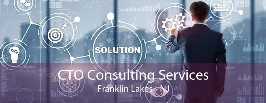 CTO Consulting Services Franklin Lakes - NJ