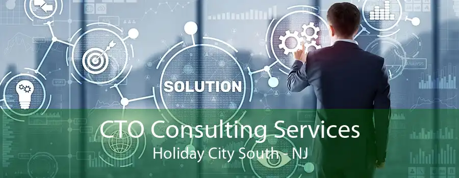 CTO Consulting Services Holiday City South - NJ