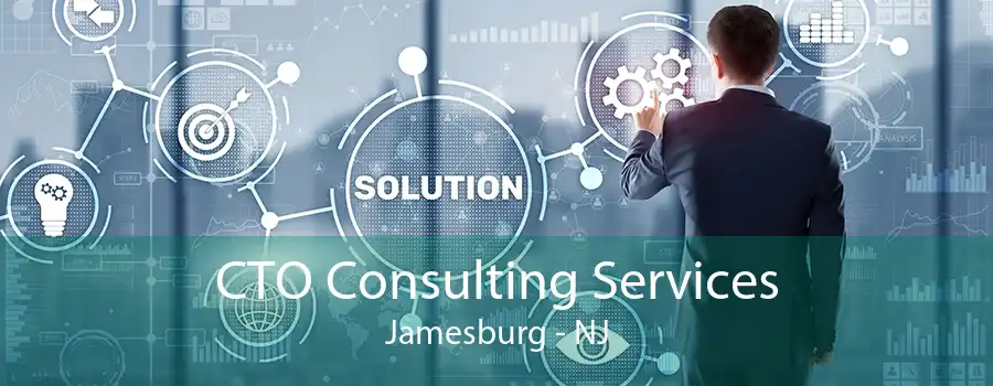 CTO Consulting Services Jamesburg - NJ