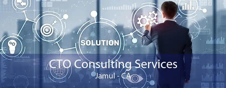 CTO Consulting Services Jamul - CA