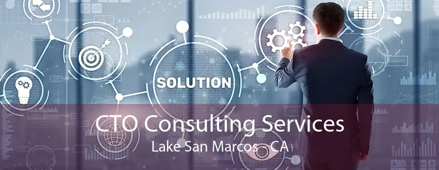 CTO Consulting Services Lake San Marcos - CA
