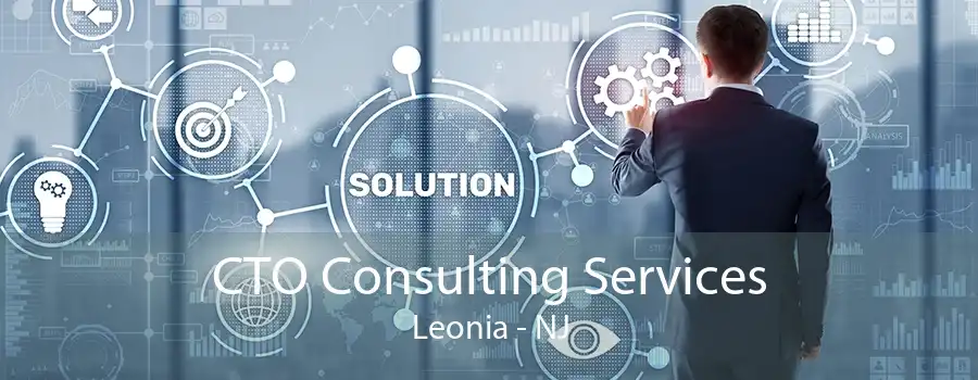 CTO Consulting Services Leonia - NJ