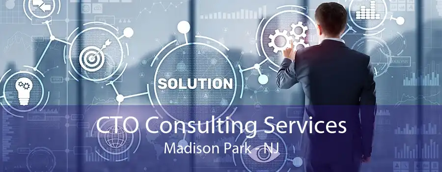 CTO Consulting Services Madison Park - NJ