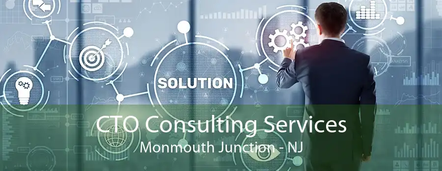 CTO Consulting Services Monmouth Junction - NJ