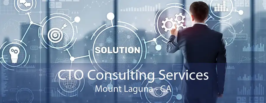 CTO Consulting Services Mount Laguna - CA