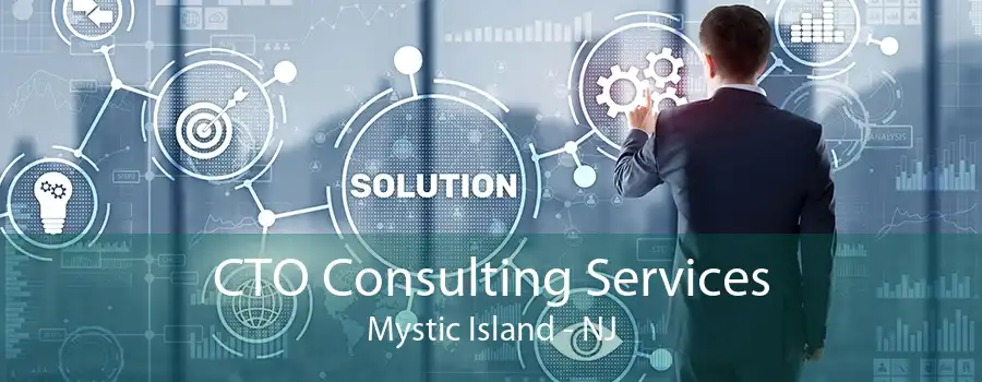 CTO Consulting Services Mystic Island - NJ