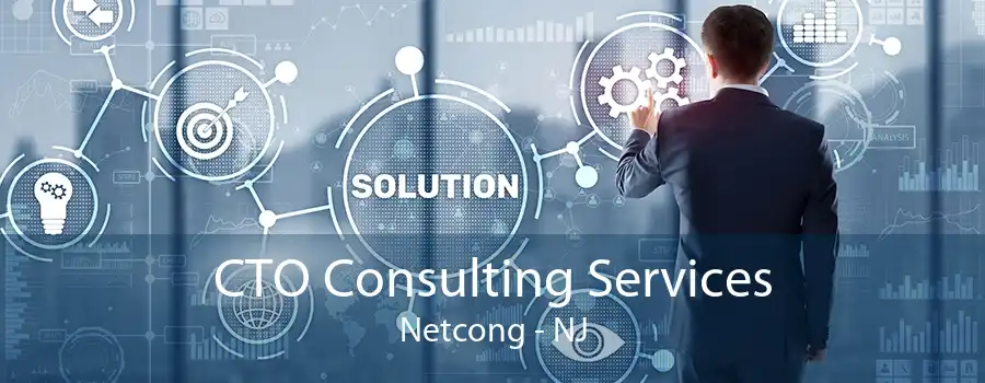 CTO Consulting Services Netcong - NJ