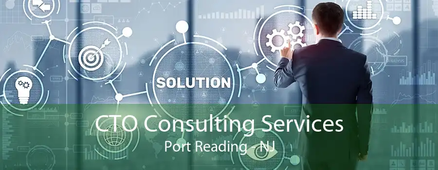 CTO Consulting Services Port Reading - NJ