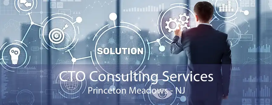 CTO Consulting Services Princeton Meadows - NJ