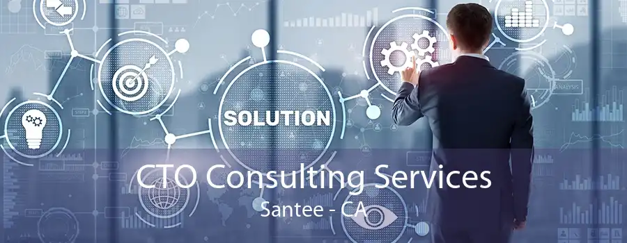 CTO Consulting Services Santee - CA