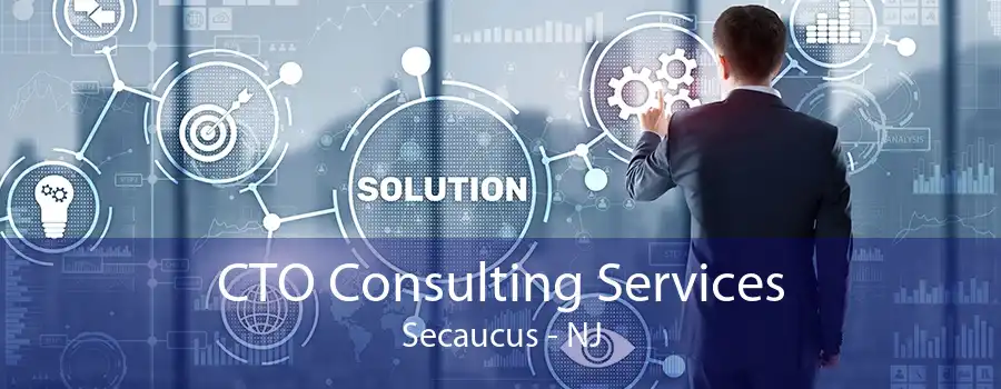 CTO Consulting Services Secaucus - NJ