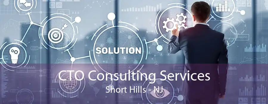CTO Consulting Services Short Hills - NJ