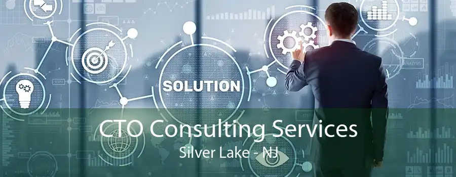 CTO Consulting Services Silver Lake - NJ