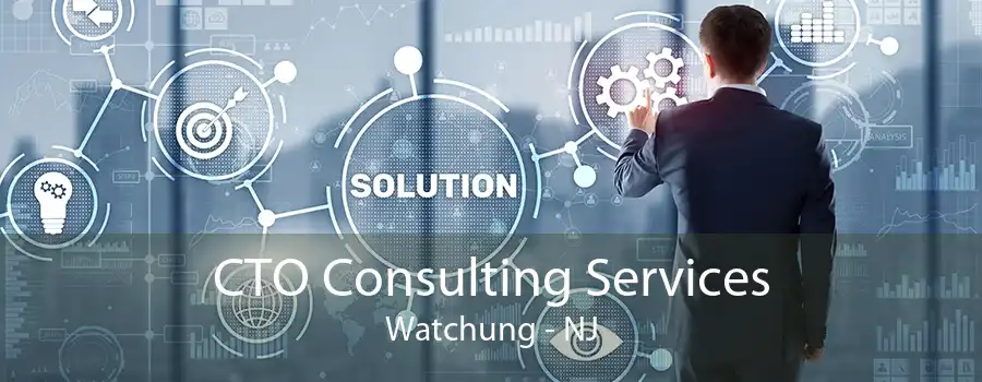 CTO Consulting Services Watchung - NJ
